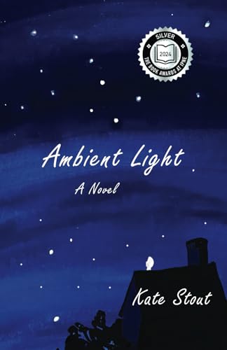 Ambient Light: A Novel