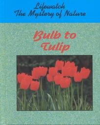 Bulb to Tulip (Lifewatch)