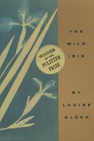 Wild Iris