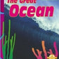 The Great Ocean (Spyglass Books)