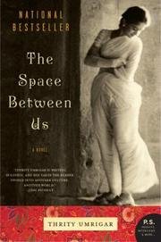 The Space Between Us: A Novel (P.S.)