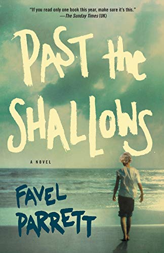 Past the Shallows: A Novel