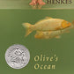 Olive's Ocean (Newbery Honor Book)