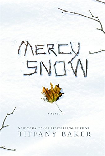 Mercy Snow: A Novel