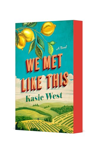 We Met Like This: A Novel