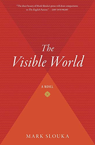 The Visible World: A Novel