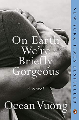 On Earth We're Briefly Gorgeous: A Novel