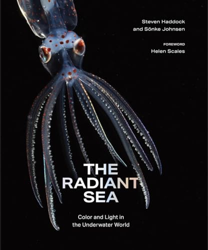 The Radiant Sea: Color and Light In the Underwater World