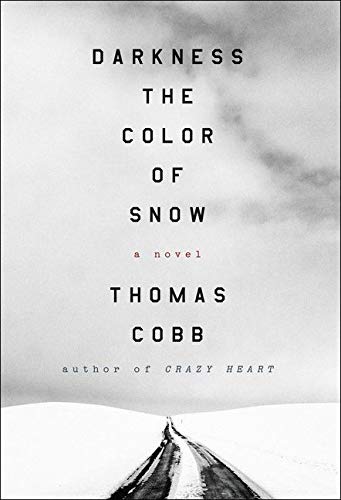 Darkness the Color of Snow: A Novel