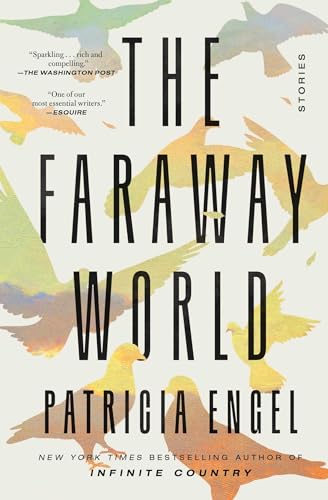 The Faraway World: Stories