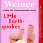 Little Earthquakes: A Novel (Washington Square Press)