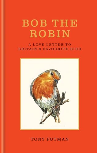 Bob the Robin: A Love Letter to Britain’s Favourite Bird