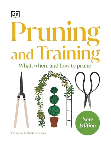 Pruning and Training: What, When, and How to Prune