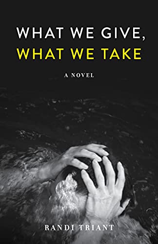 What We Give, What We Take: A Novel