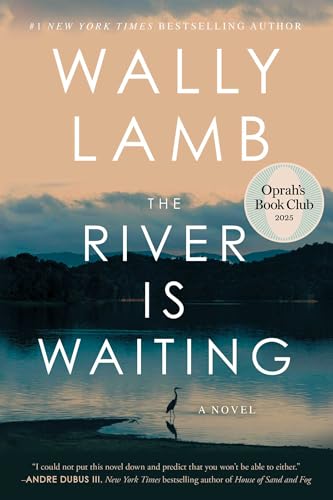 The River Is Waiting (Oprah's Book Club): A Novel