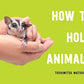 How to Hold Animals