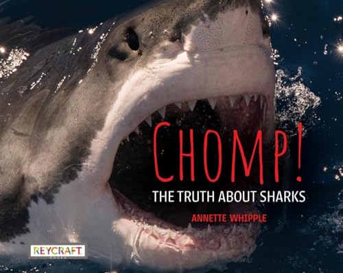 Chomp! Truth About Sharks by Annette Whipple | Grade Range 2-4, Age Range 8-12 | Reycraft Books (The Truth About Series)