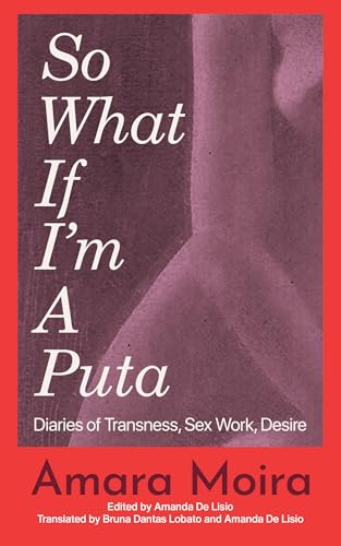 So What If I'm a Puta: Diaries of Transness, Sex Work, Desire