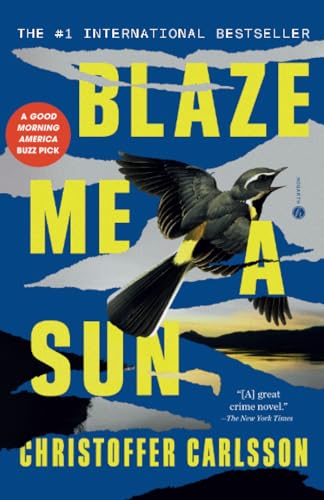 Blaze Me a Sun: A Novel About a Crime