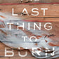 The Last Thing to Burn: A Novel