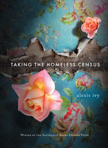 Taking the Homeless Census