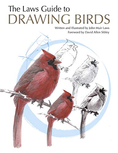 Laws Guide to Drawing Birds, The