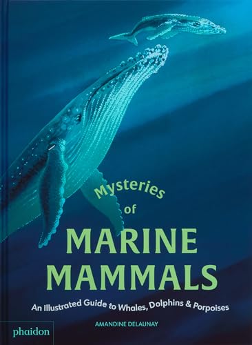 Mysteries of Marine Mammals: An Illustrated Guide to Whales, Dolphins, and Porpoises