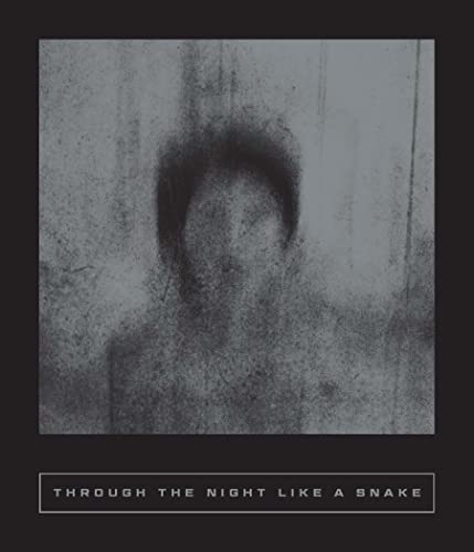 Through the Night Like a Snake: Latin American Horror Stories (Calico Series)