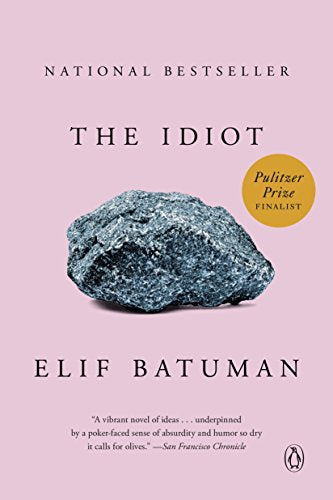 The Idiot: A Novel