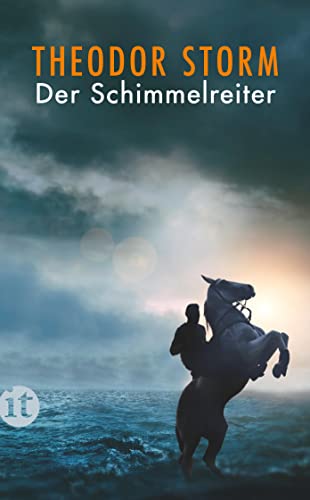Der Schimmelreiter (German Edition)