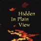 Hidden in Plain View: A Darryl Billups Mystery