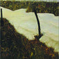 Winter Morning Walks : 100 Postcards to Jim Harrison (Poetry Series)