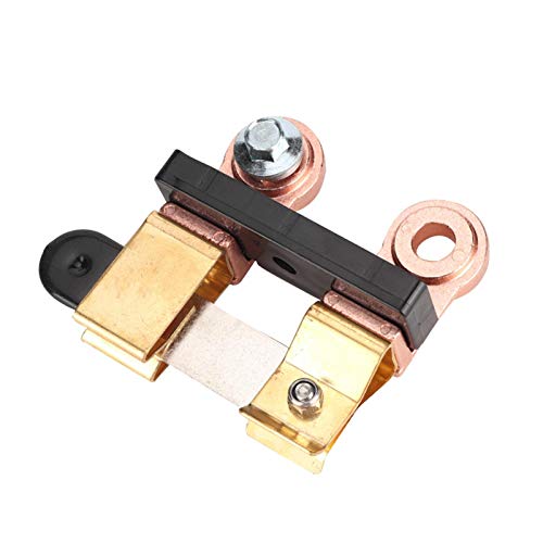 Aleida: A Woman for the New Millennium