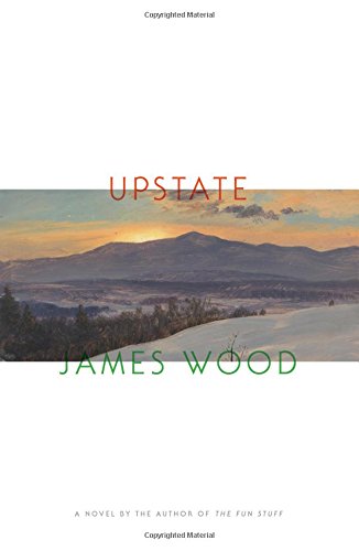 Upstate: A Novel