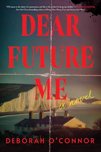 Dear Future Me: A Novel