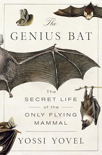 The Genius Bat: The Secret Life of the Only Flying Mammal