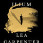 Ilium: A novel