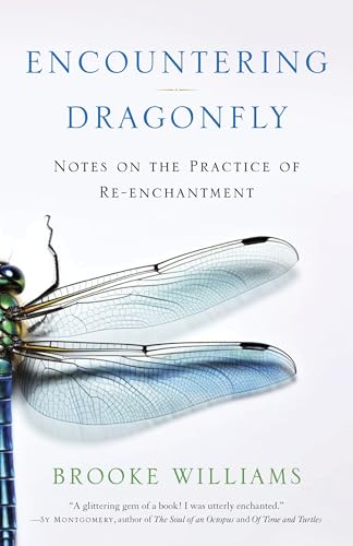 Encountering Dragonfly: Notes on the Practice of Re-enchantment