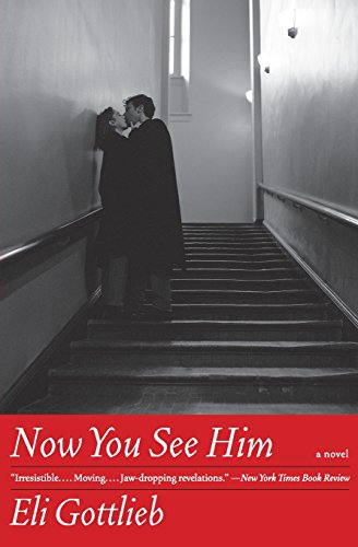 Now You See Him: A Novel (P.S.)
