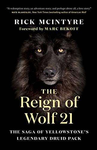 The Reign of Wolf 21: The Saga of Yellowstone's Legendary Druid Pack (The Alpha Wolves of Yellowstone, 2)