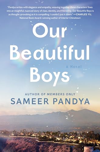 Our Beautiful Boys: A Novel