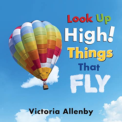 Look Up High! Things That Fly (Big, Little Concepts, 6)