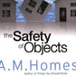 Safety of Objects