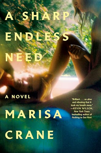 A Sharp Endless Need: A Novel