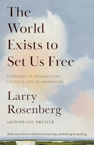 The World Exists to Set Us Free: Straight-Up Dharma for Living a Life of Awareness