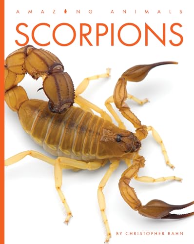 Scorpions (Amazing Animals)