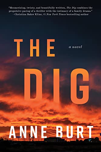 The Dig: A Novel