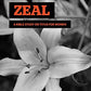 Zeal: A Bible Study on Titus for Woman