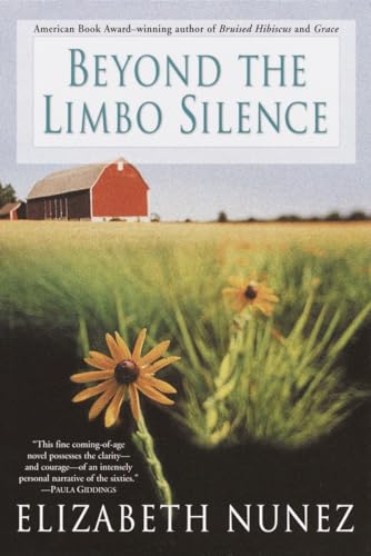 Beyond The Limbo Silence