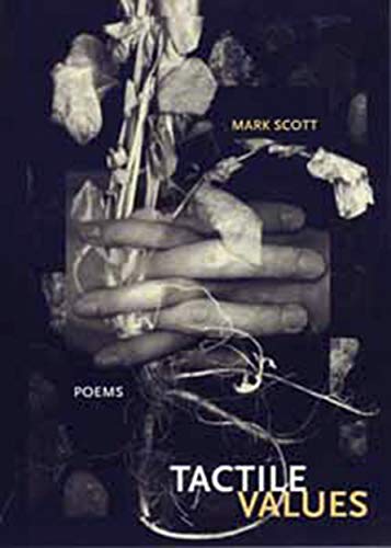 Tactile Values (New Issues Poetry & Prose)